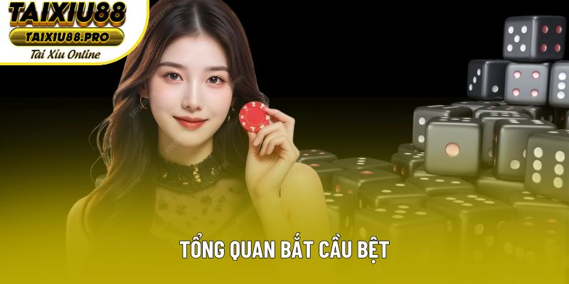 Tổng quan bắt cầu bệt Tổng quan bắt cầu bệt