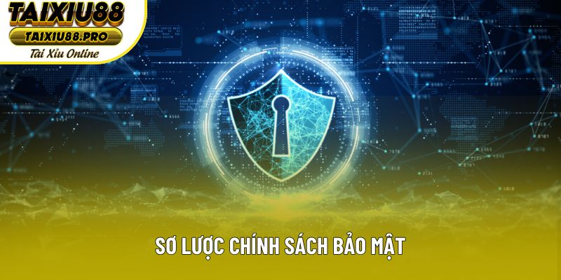 Sơ lược chính sách bảo mật Sơ lược chính sách bảo mật