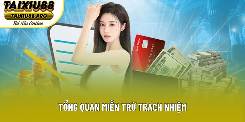 Tổng quan miễn trừ trách nhiệm Tổng quan miễn trừ trách nhiệm